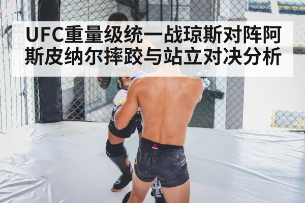 MMA fight cage