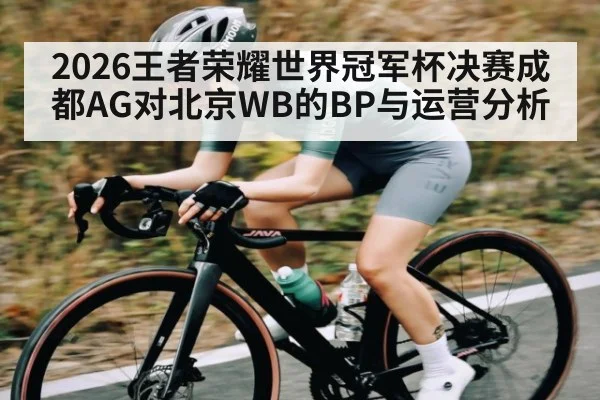 2026王者荣耀世界冠军杯决赛成都AG对北京WB的BP与运营分析